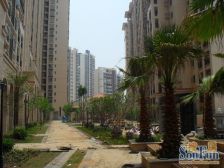 威斯广场装修低价四房,全南户型,业主诚意出售