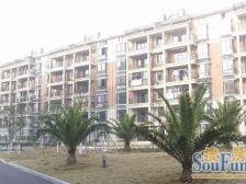 江山多娇东区 6室3厅 南