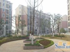 江山多娇东区 7室2厅 南 北