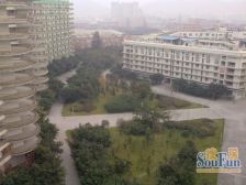 五角大楼 3室2厅 东南