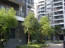 俊雅花园 1室0厅 东北