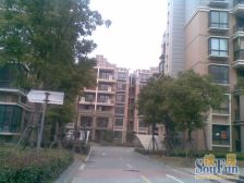 绿地玲珑寓 2室1厅 南 北