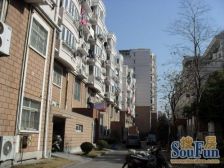 晨兴公寓全明三房 户型方正 中间好楼层!