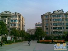 地铁口+大三房+楼层好+好装修+诚意卖+浦江边公园