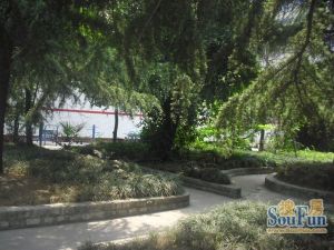 西安路小区3室1厅南北