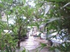 安石路水利局宿舍 2室2厅 南