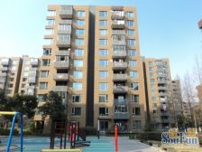 七宝 · 万科朗润园 · 1室 · 1厅