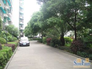 新二村 烈士公园 地铁6号线湘雅站,富兴 绿地交通便利
