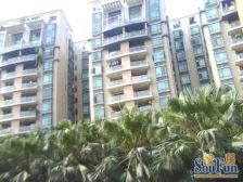 汇博华庭两房 70年产权住宅 步行两百多米石梁地铁站