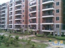 金海岸四期天骄苑,北入户联排别墅,位置安静不吵