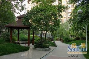 三和南锦 1室1厅 南