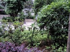 东部新城 东城中央二房33.2万