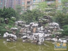 南海颐景园 位置安静 采光好 苏州园林花园