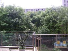 置信逸都城市会所 2室1厅 东南