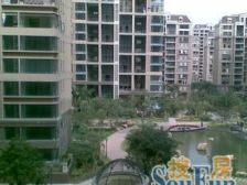 中海大3房 业主精装自住 无抵押干净整结 千灯湖地铁站