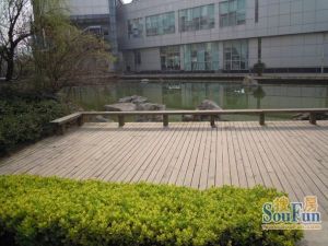 金上城3室1厅东南