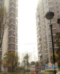 书香府邸2室1厅西南