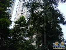 环湖花园 市区独栋别墅 临湖而居 环境舒适 私家花园