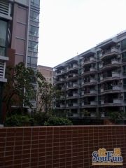 翠湖 南向、房视野开阔、通风采光好,有位置装电梯