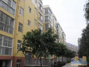 二环边精装两室南向楼梯房证在手采光好