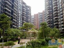 长安花园 3室2厅 东南