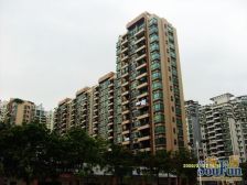 正规2房2厅1卫,户型方正,舒服