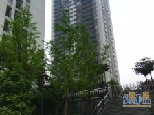 加州新牌坊 邮政绿苑三房120万