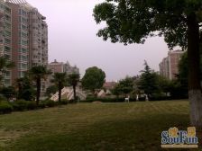 中间楼层,小区位置好,前后无遮挡