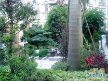 新世纪花园步梯低层 精品朝南两房 安静不靠路