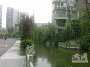 鹃城家园2室1厅南北