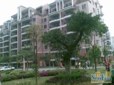 此房满五年 楼层合适 采光充足 居家装修 地铁口