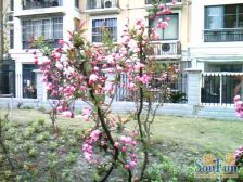 09年新小区,房东自住装修,诚心出售,景观好视野好