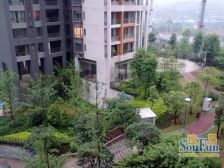 鲁能品质,毛坯 ,中高层,视野和采光好