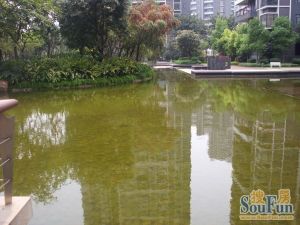 光线好自住装修保养好视野开阔无遮挡