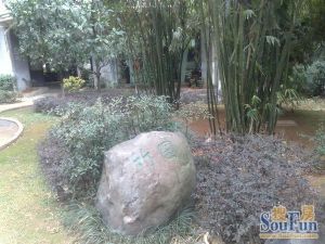 电梯房太平街国金五一广场双地铁口大两房