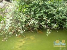 城南名著 3室2厅 西