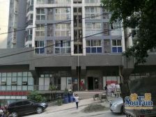 小什字 电梯房 中驰半岛 三室一厅 业主诚心出售