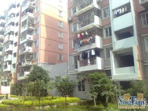 新出上渡商品房,水仙园,中层居家装修