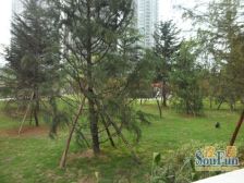 人和 金地豪苑三房97万