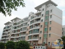 惠雅苑中层2房 南北对流 采光充足 望小区