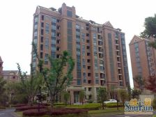 绿地D区 联排 全新精装 业主诚心出售 随时签约