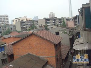 猛追湾东街6号3室1厅南