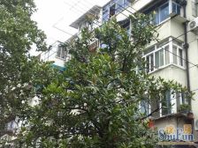 隆昌路地铁口,总高6楼的6楼带阁楼