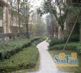 保利郁金香谷4室2厅东南