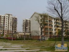 江桥·金鹤新城城杰苑·2室·2厅