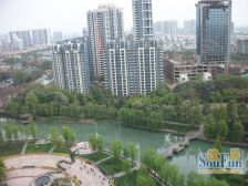 公园壹号 1室1厅 东北 东南