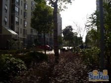 万达旁,壁龛好房,带阁楼,实用面积大