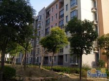 万达旁 近汇龙湖金初 采光好带阁楼 地下储藏间