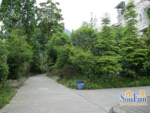 四季青城(白鹤路) 2室1厅 南 北