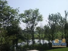 蓝光观岭威尼斯 1室1厅 东南